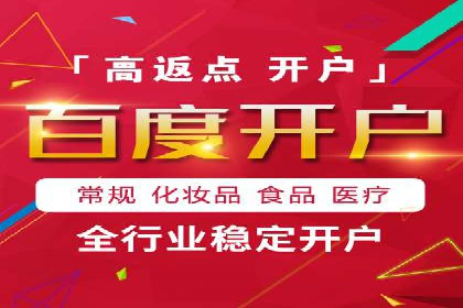 专业SEM服务公司案例分析报告